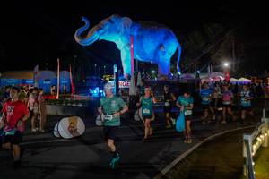 BIB: 
                            <button type="button" onclick="openModal(26552345)" class="btn btn-primary btn-sm float-right btn-popup" data-toggle="modal" data-target=".modal-high-quality">
                        <i class="fas fa-shopping-cart"></i> Add to Cart
                    </button>
                                            <button type="button" onclick="isThisMe(26552345, true)" class="btn btn-success btn-sm float-right btn-popup btn-isme hidden" data-toggle="tooltip" data-placement="bottom" title="นี่คือรูปของคุณใช่ไหม คลิกที่นี่เพื่อเอาเข้าอัลบั้ม">
                        <i class="fas fa-plus"></i> Add to album
                    </button>
                    <button type="button" onclick="isThisMe(26552345, false)" class="btn btn-warning btn-sm float-right btn-popup btn-isnotme hidden">
                        <i class="fas fa-ban"></i> Remove from album
                    </button>